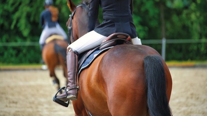 Nahaufnahme einer Reiterin im Sattel von hinten, im Hintergrund ein weiteres Pferd auf einem Reitplatz